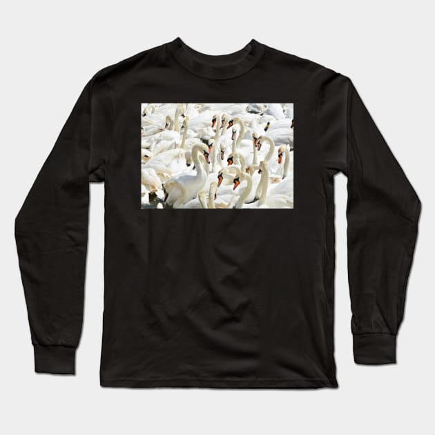 Swan Sea Long Sleeve T-Shirt by AlexaZari